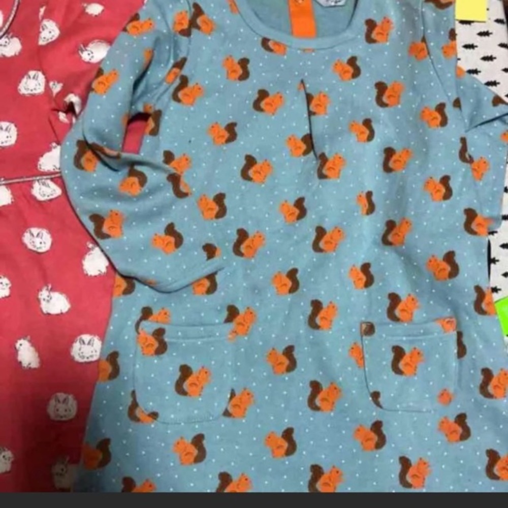 Baby Boden Squirrel Dress